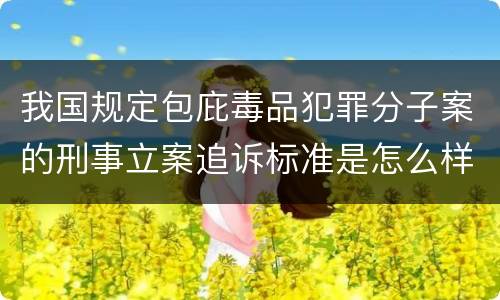 我国规定包庇毒品犯罪分子案的刑事立案追诉标准是怎么样规定