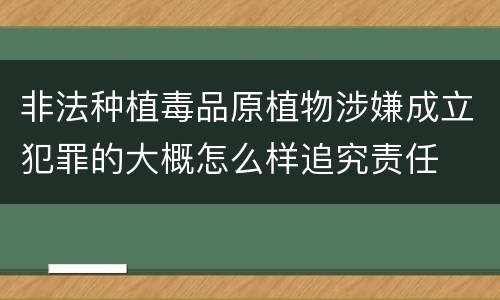 非法种植毒品原植物涉嫌成立犯罪的大概怎么样追究责任
