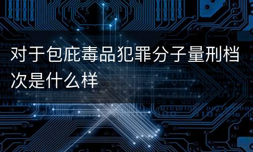 对于包庇毒品犯罪分子量刑档次是什么样