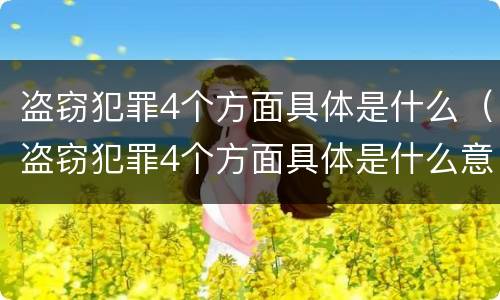 盗窃犯罪4个方面具体是什么（盗窃犯罪4个方面具体是什么意思）