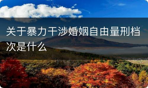 关于暴力干涉婚姻自由量刑档次是什么