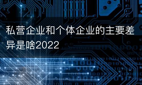 私营企业和个体企业的主要差异是啥2022