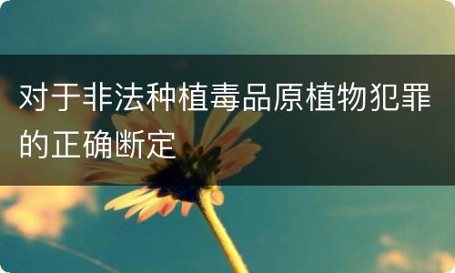 对于非法种植毒品原植物犯罪的正确断定