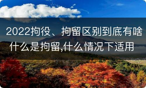 2022拘役、拘留区别到底有啥 什么是拘留,什么情况下适用拘留