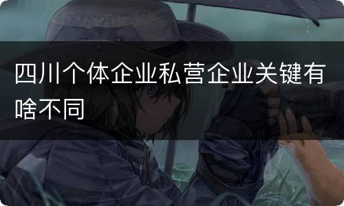 四川个体企业私营企业关键有啥不同
