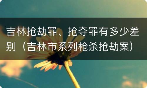 吉林抢劫罪、抢夺罪有多少差别（吉林市系列枪杀抢劫案）