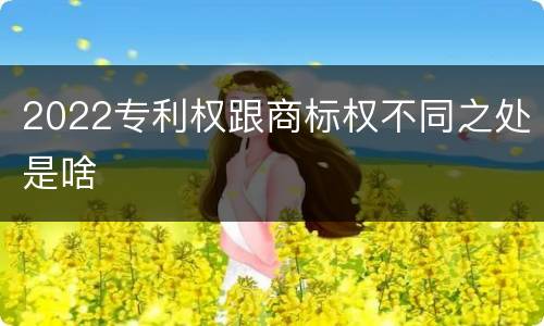 2022专利权跟商标权不同之处是啥