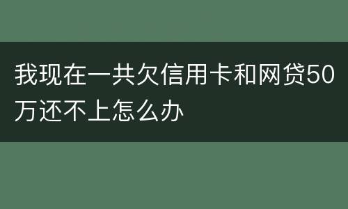 我现在一共欠信用卡和网贷50万还不上怎么办
