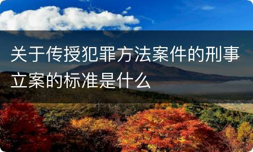 关于传授犯罪方法案件的刑事立案的标准是什么