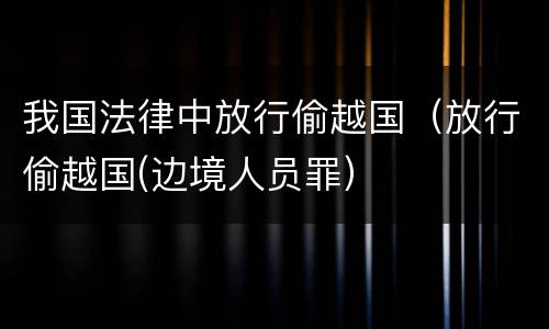 我国法律中放行偷越国（放行偷越国(边境人员罪）
