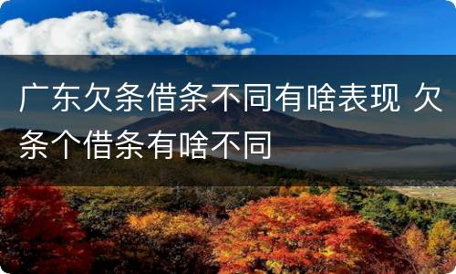 广东欠条借条不同有啥表现 欠条个借条有啥不同