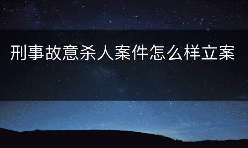 刑事故意杀人案件怎么样立案