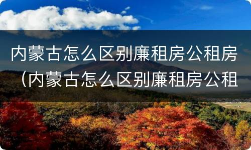 内蒙古怎么区别廉租房公租房（内蒙古怎么区别廉租房公租房的）