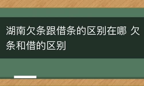 湖南欠条跟借条的区别在哪 欠条和借的区别