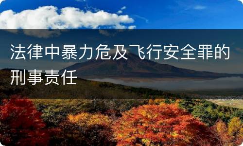 法律中暴力危及飞行安全罪的刑事责任