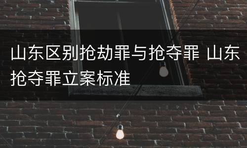 山东区别抢劫罪与抢夺罪 山东抢夺罪立案标准