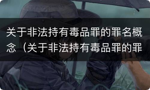 关于非法持有毒品罪的罪名概念（关于非法持有毒品罪的罪名概念界定）