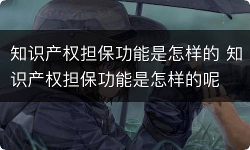 知识产权担保功能是怎样的 知识产权担保功能是怎样的呢