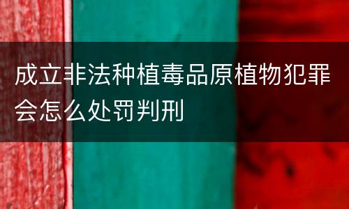 成立非法种植毒品原植物犯罪会怎么处罚判刑