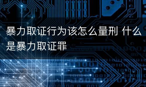 暴力取证行为该怎么量刑 什么是暴力取证罪