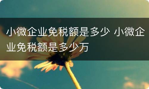 小微企业免税额是多少 小微企业免税额是多少万