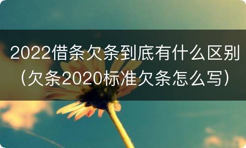 2022借条欠条到底有什么区别（欠条2020标准欠条怎么写）