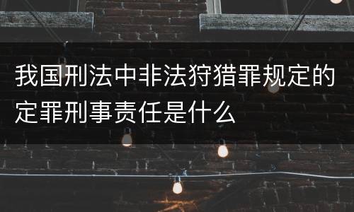 我国刑法中非法狩猎罪规定的定罪刑事责任是什么