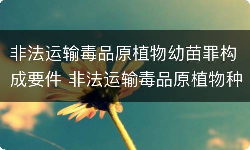 非法运输毒品原植物幼苗罪构成要件 非法运输毒品原植物种子罪