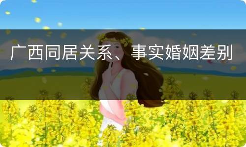 广西同居关系、事实婚姻差别