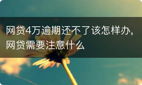 网贷4万逾期还不了该怎样办,网贷需要注意什么