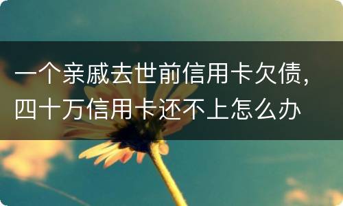 一个亲戚去世前信用卡欠债，四十万信用卡还不上怎么办