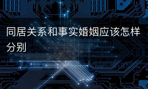 同居关系和事实婚姻应该怎样分别