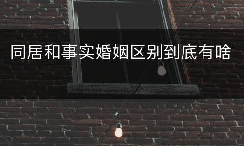 同居和事实婚姻区别到底有啥