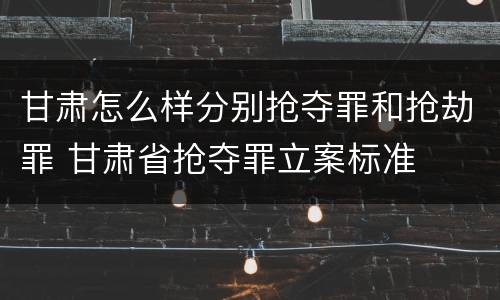 甘肃怎么样分别抢夺罪和抢劫罪 甘肃省抢夺罪立案标准
