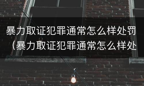 暴力取证犯罪通常怎么样处罚（暴力取证犯罪通常怎么样处罚的）