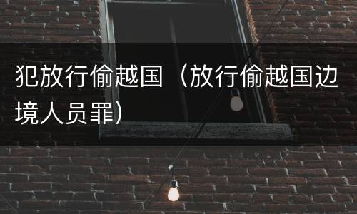 犯放行偷越国（放行偷越国边境人员罪）
