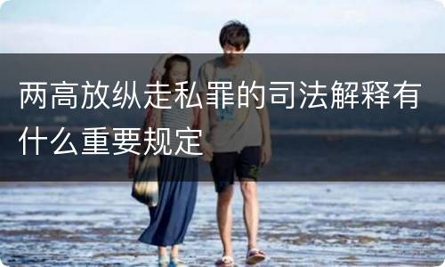 两高放纵走私罪的司法解释有什么重要规定