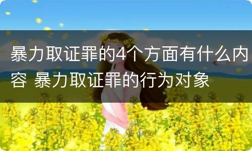 暴力取证罪的4个方面有什么内容 暴力取证罪的行为对象