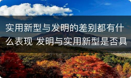 实用新型与发明的差别都有什么表现 发明与实用新型是否具有实用性