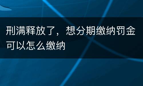 刑满释放了，想分期缴纳罚金可以怎么缴纳
