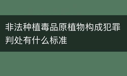 非法种植毒品原植物构成犯罪判处有什么标准