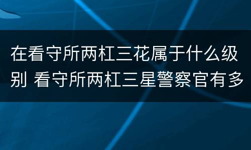 在看守所两杠三花属于什么级别 看守所两杠三星警察官有多大