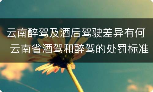 云南醉驾及酒后驾驶差异有何 云南省酒驾和醉驾的处罚标准