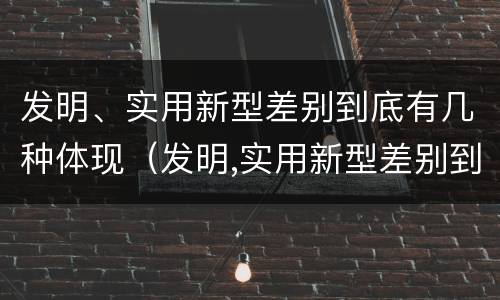 发明、实用新型差别到底有几种体现（发明,实用新型差别到底有几种体现）