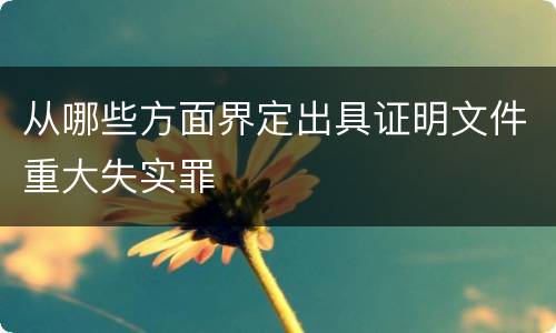从哪些方面界定出具证明文件重大失实罪