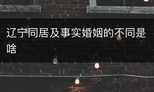 辽宁同居及事实婚姻的不同是啥