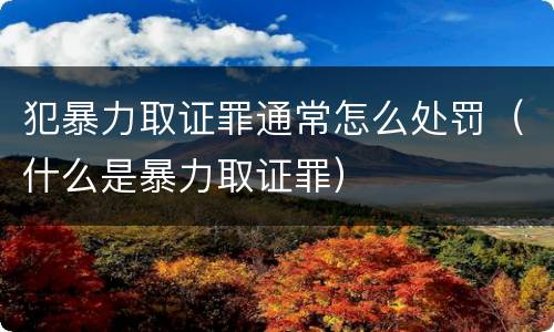 犯暴力取证罪通常怎么处罚（什么是暴力取证罪）