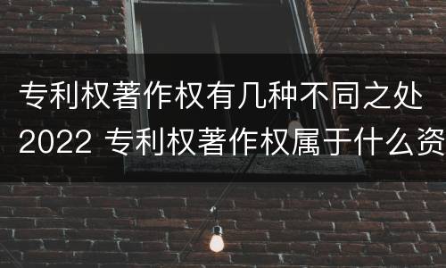 专利权著作权有几种不同之处2022 专利权著作权属于什么资产