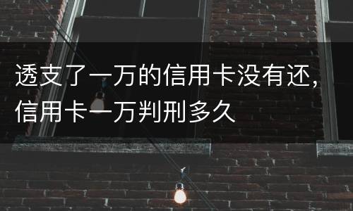 透支了一万的信用卡没有还，信用卡一万判刑多久