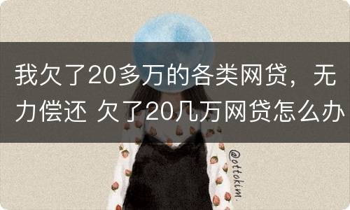 我欠了20多万的各类网贷，无力偿还 欠了20几万网贷怎么办